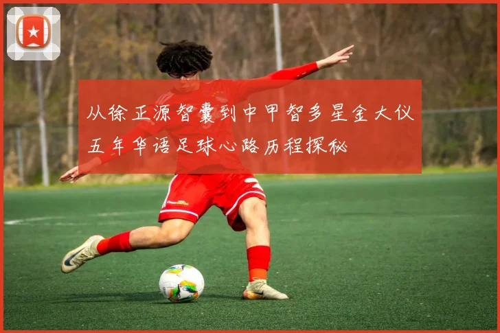 从徐正源智囊到中甲智多星金大仪五年华语足球心路历程探秘